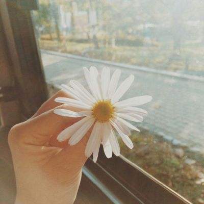 华体育app下载截图